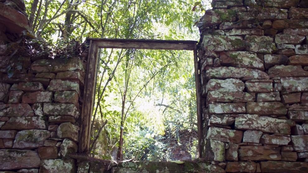 Scoperto nella giungla argentina un rifugio segreto per gerarchi nazisti
