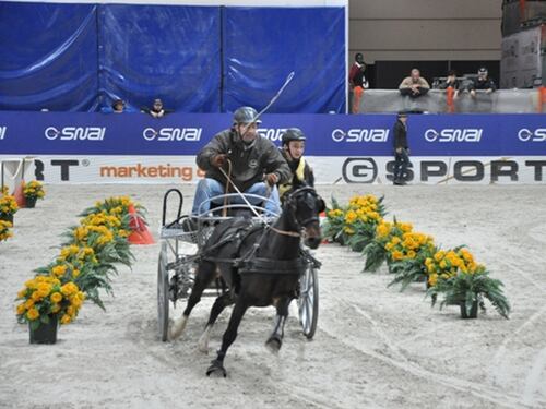 Riparte la FEI WORLD CUP DRIVING, l'emozionante circuito dei 10 migliori driver di tiro a 4 del mondo