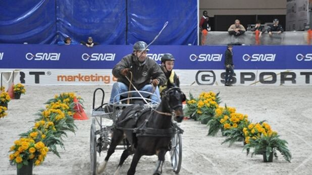 Riparte la FEI WORLD CUP DRIVING, l'emozionante circuito dei 10 migliori driver di tiro a 4 del mondo