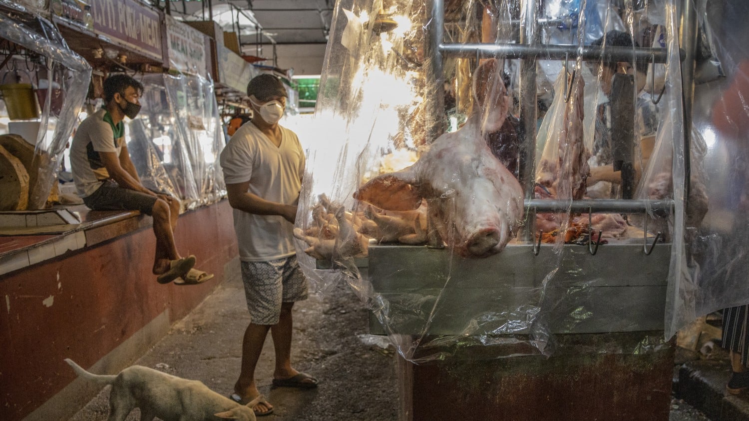 Dalla gelatina di tartaruga agli escrementi di zibetto: i dieci cibi più disgustosi dell'Asia