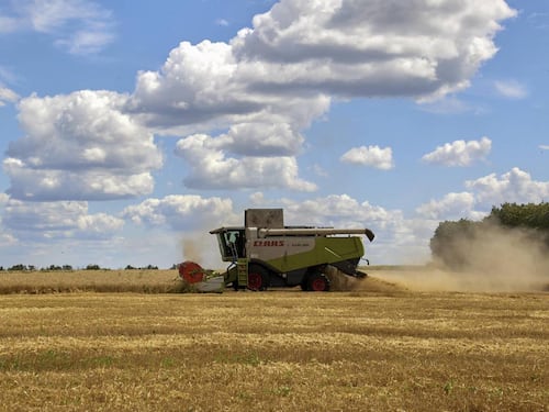 Grano, il ricatto di Putin trova una sponda: Onu pronta a tutto per l'accordo con Mosca
