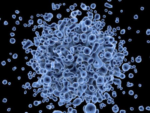 Quell'antico virus umano che causa il tumore al seno