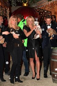Pamela Anderson è raggiunte all'evento dedicato alla salvaguardia degli animali  1