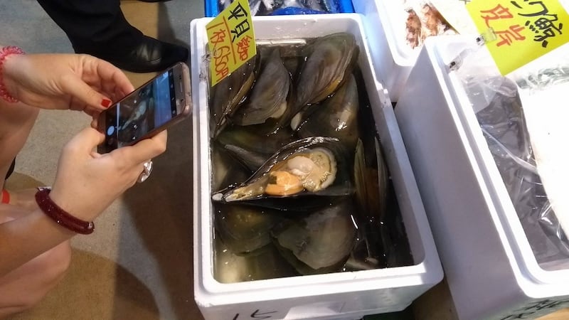 Tsukiji, il mercato (mondiale) del pesce a Tokyo 4