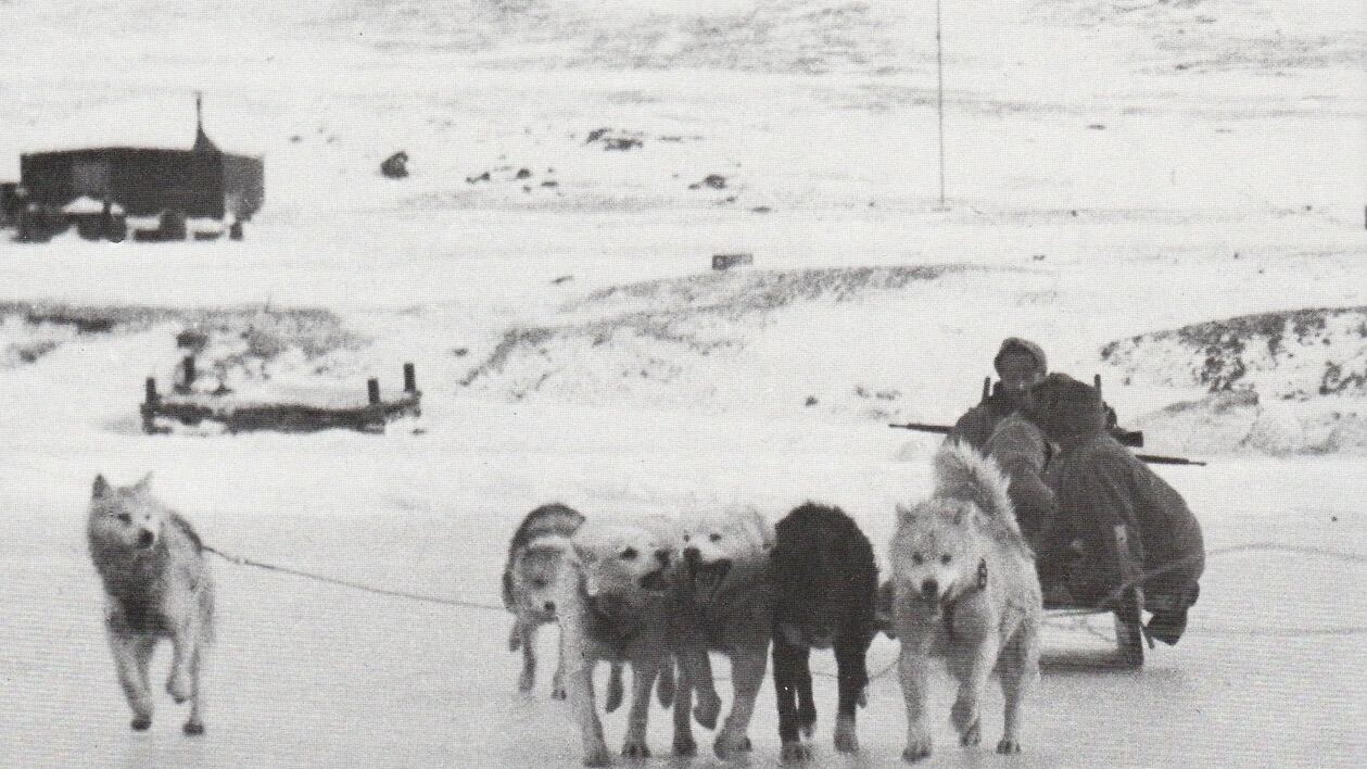 La guerra segreta in Groenlandia: uomini, cani e ghiaccio contro il Reich