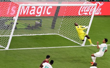 Le immagini più belle di Qatar-Senegal 19