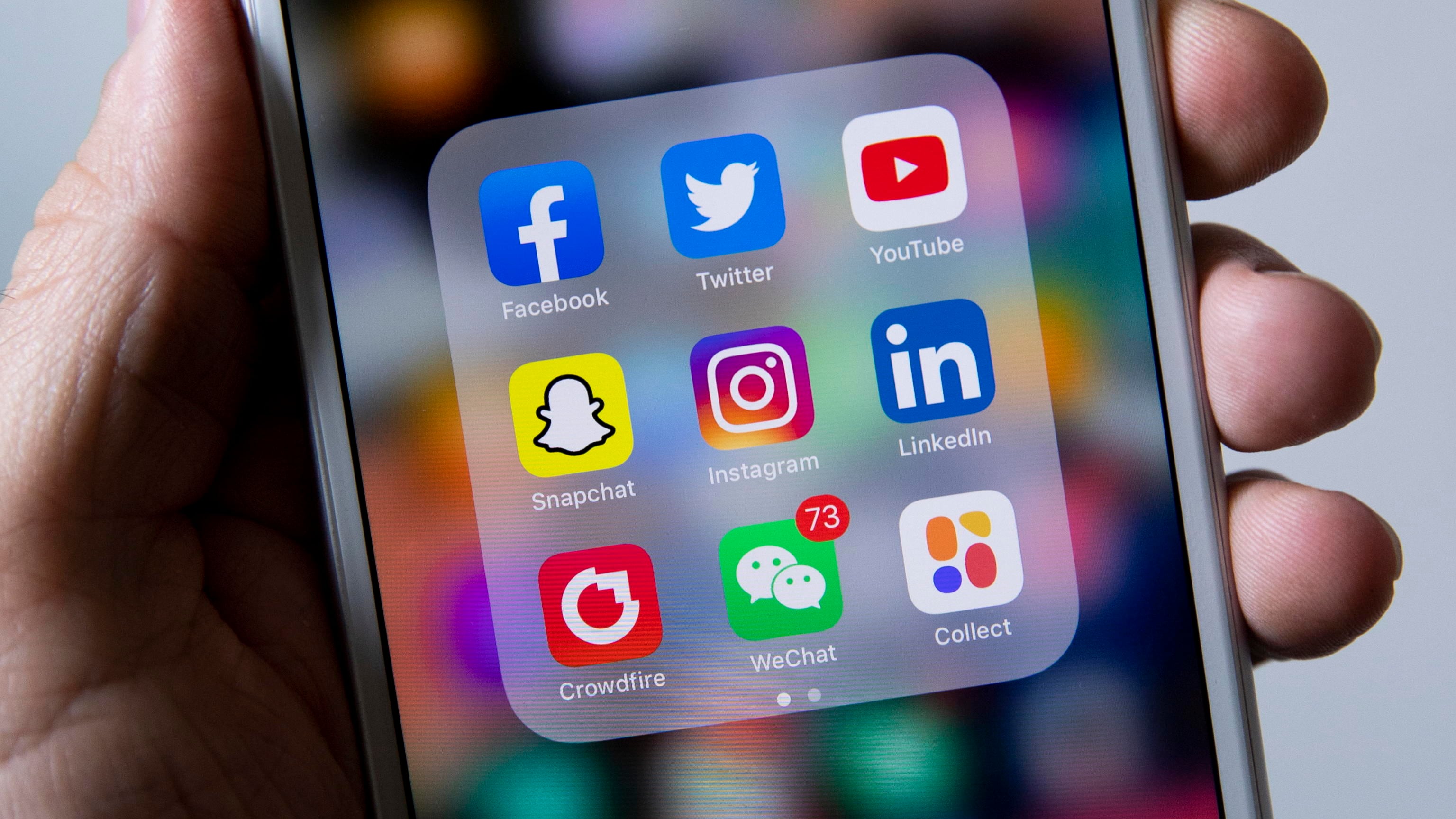 Influencer guadagna 400mila euro e percepisce il reddito grillino