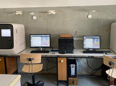 Qui vengono validati i tamponi: viaggio nel laboratorio del policlinico di Palermo 4