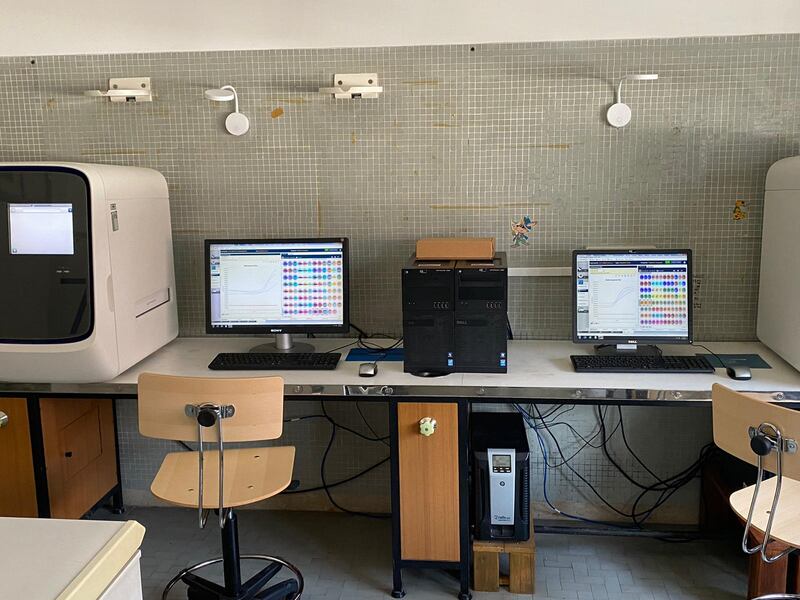 Qui vengono validati i tamponi: viaggio nel laboratorio del policlinico di Palermo 4