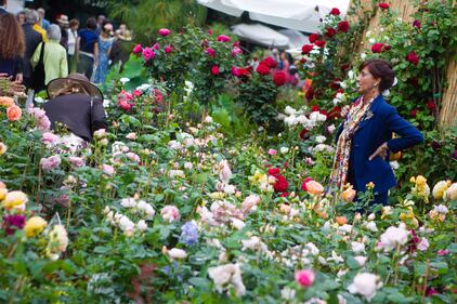 Orticola 2013, la mostra botanica 9