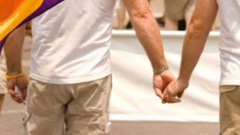 "No alle unioni civili nello sgabuzzino": Tar boccia il Comune leghista