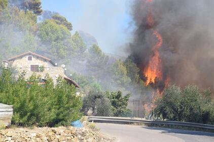 Bruciano le alture di Seborga, fiamme vicino alle case 8