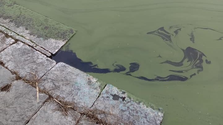 Il lago d’Averno si tinge di verde: timori per l’ecosistema