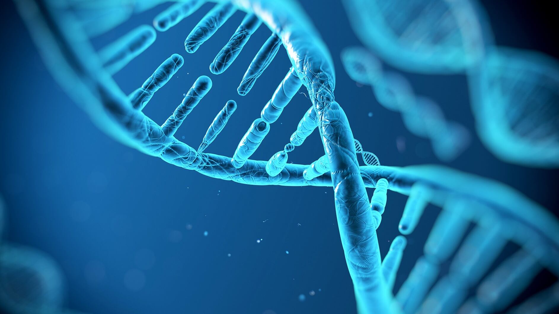 Cari scienziati non serve il Dna per fare gli italiani