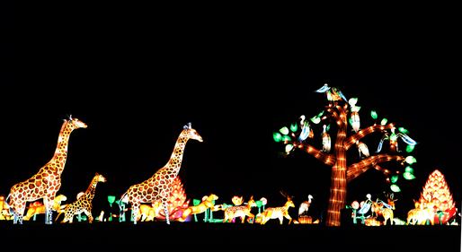 Al via in Inghilterra il Festival della Luce 5