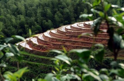Lo spettacolo dei campi terrazzati in Cina 2