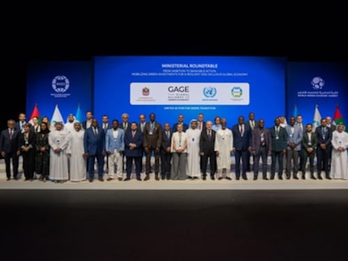 Tavola rotonda ministeriale discute sul tema della mobilitazione degli investimenti verdi per un'economia globale resiliente e inclusiva