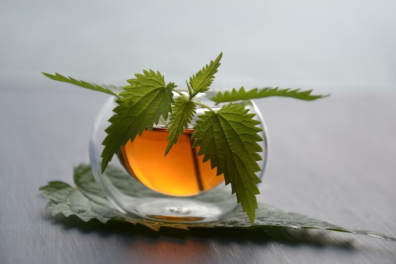 Tisana