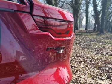 Jaguar F-Type 75 P450, le foto di un gioiello in via di estinzione 13