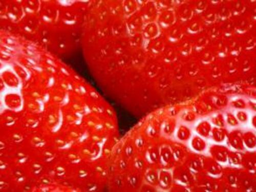 Il clima mette in crisi le fragole lucane