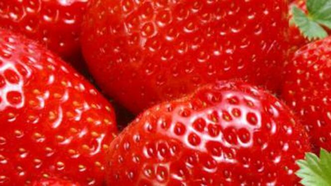 Il clima mette in crisi le fragole lucane