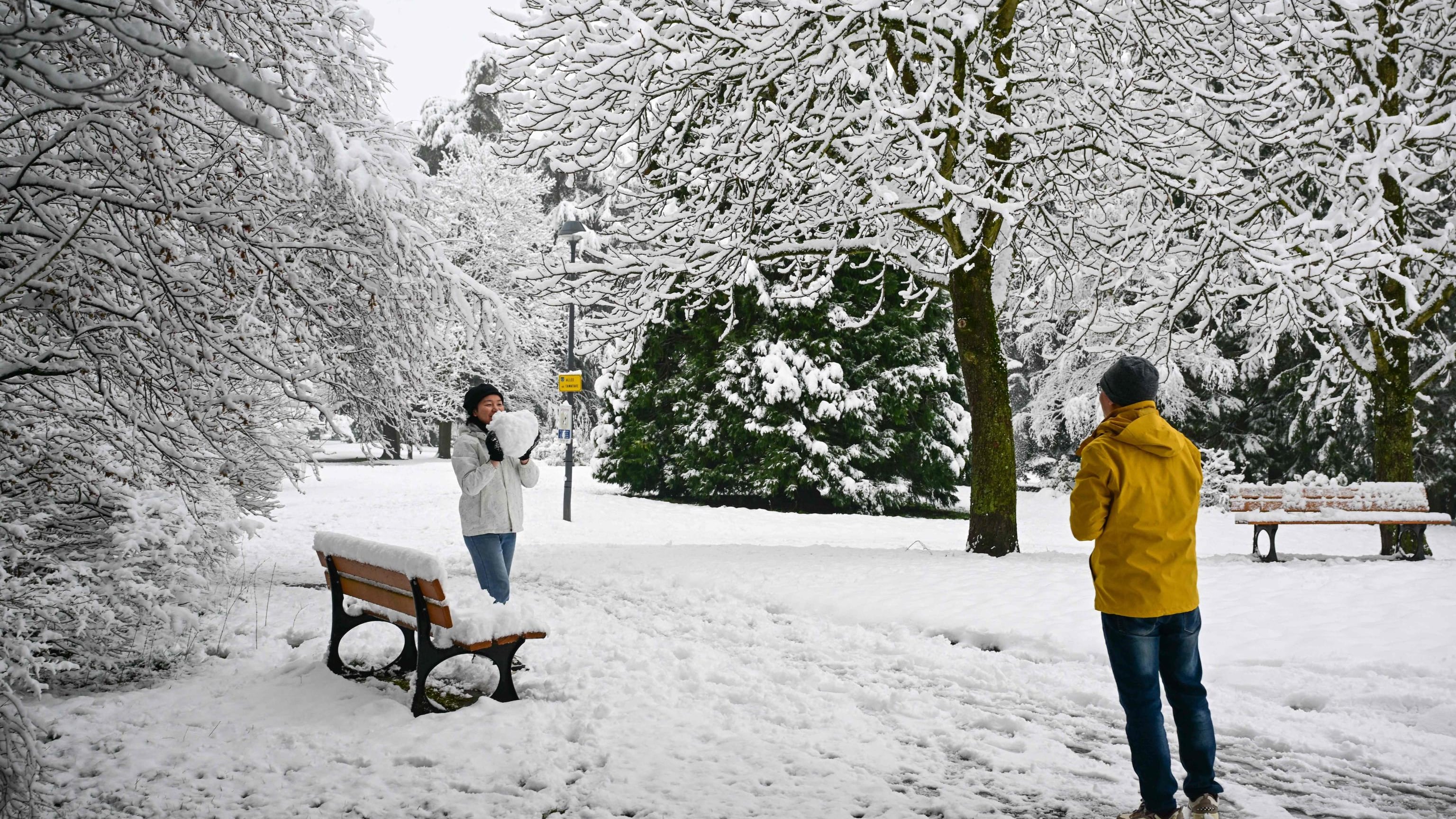 Dall’autunno all’inverno: ecco quando tornerà la neve