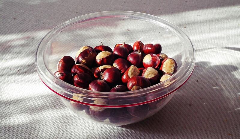 Castagne