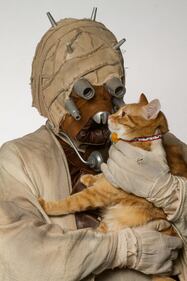 I personaggi di Star Wars per l'adozione degli animali 4