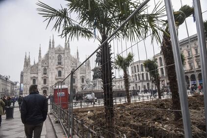 Piazza Duomo, incendiata una delle palme  6