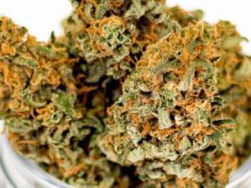 Macerata, marijuana a scuola: fermato 13enne