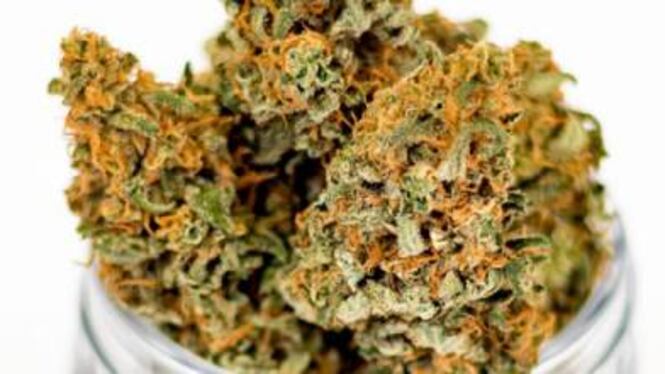 Macerata, marijuana a scuola: fermato 13enne
