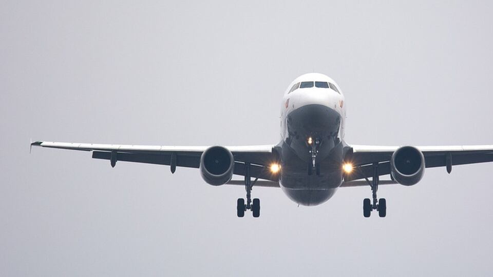 Atterraggio di emergenza a Linate: stormo di uccelli nel motore