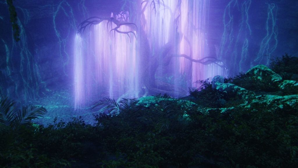 Così l'"Albero Madre" ci insegna la saggezza