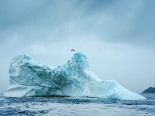 Si tuffa all’indietro da un iceberg di 15 metri: è la prima donna al mondo