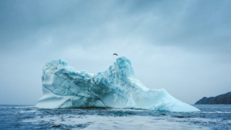 Si tuffa all’indietro da un iceberg di 15 metri: è la prima donna al mondo
