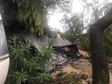 Veneto colpito dal maltempo: alberi sradicati in un campeggio 3