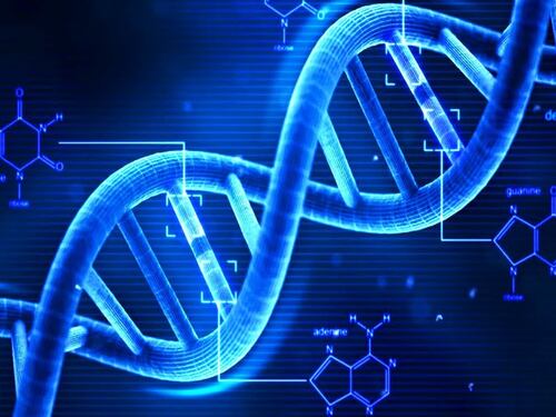 Nobel a Lindahl, Modrich e Sancar. Premiate le loro ricerche sul Dna