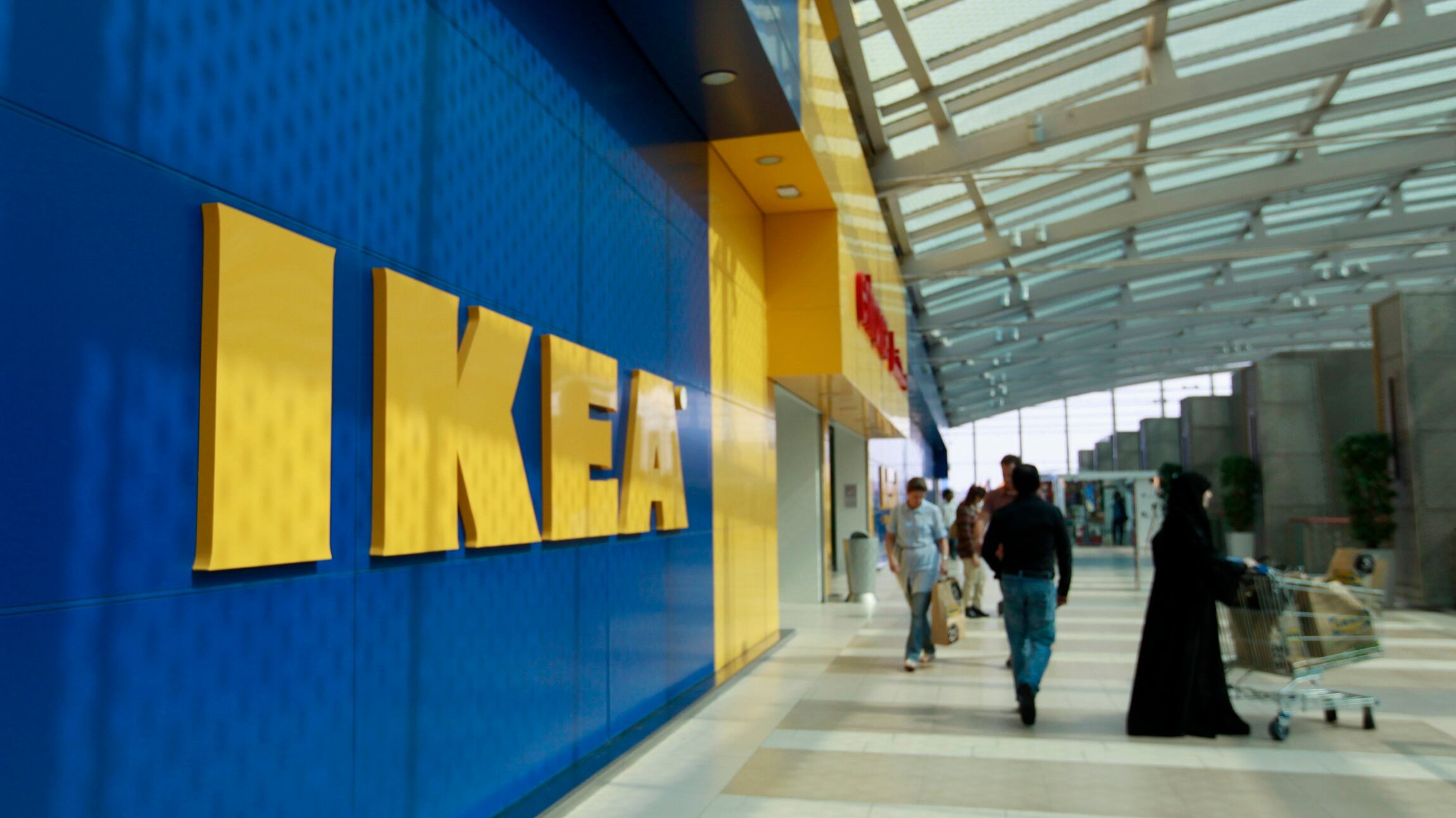 L'Ikea fa il concime con gli alberi di Natale invenduti