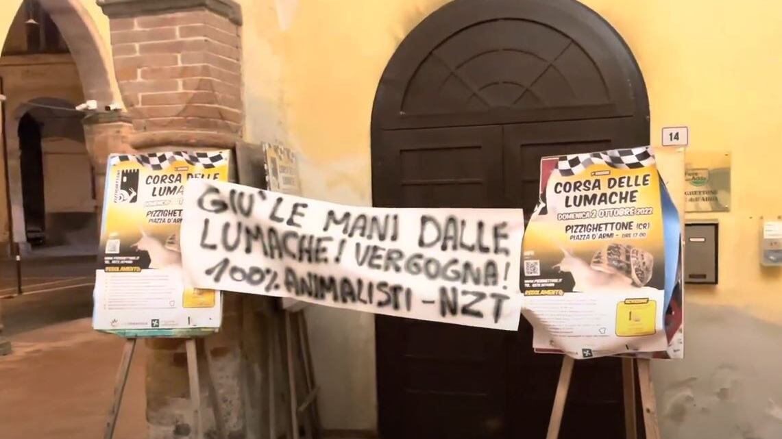 Blitz contro la corsa delle lumache: gli animalisti denunciano maltrattamenti