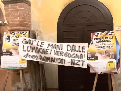 Blitz contro la corsa delle lumache: gli animalisti denunciano maltrattamenti