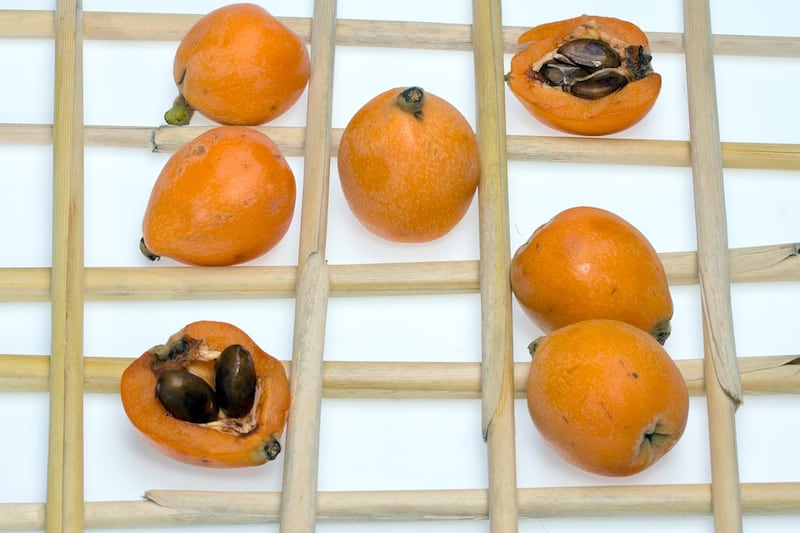frutti primaverili