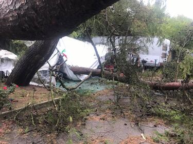 Veneto colpito dal maltempo: alberi sradicati in un campeggio 8