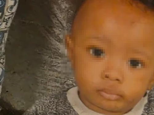 "Nutrito solo di frutta, noci e semi": così il bimbo di tre anni è morto per la dieta vegana estrema
