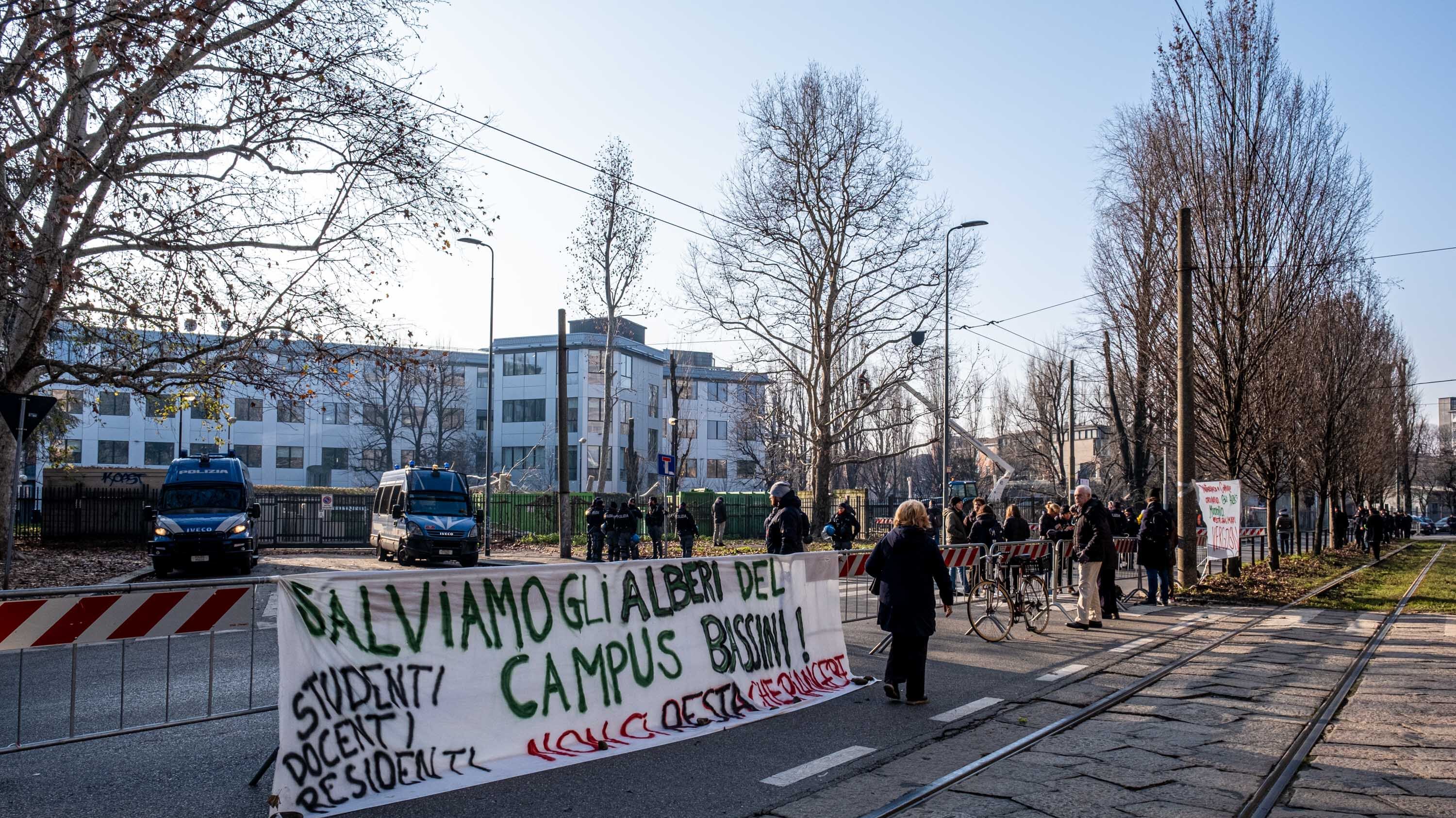 Politecnico, tagliati 35 alberi. Rabbia di quartiere e studenti