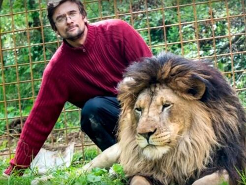 Leoni come animali da compagnia: 33enne sbranato e felini abbattuti