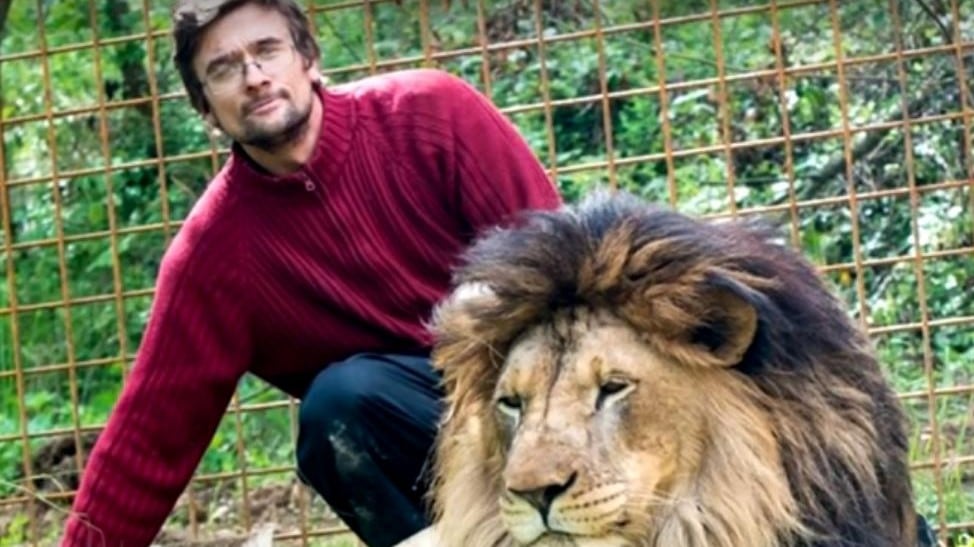 Leoni come animali da compagnia: 33enne sbranato e felini abbattuti