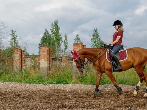 Bambina cade da cavallo e batte la testa. È grave