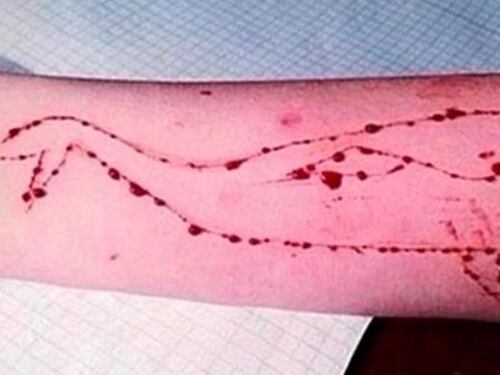Nella mente dell'ideatore del Blue Whale
