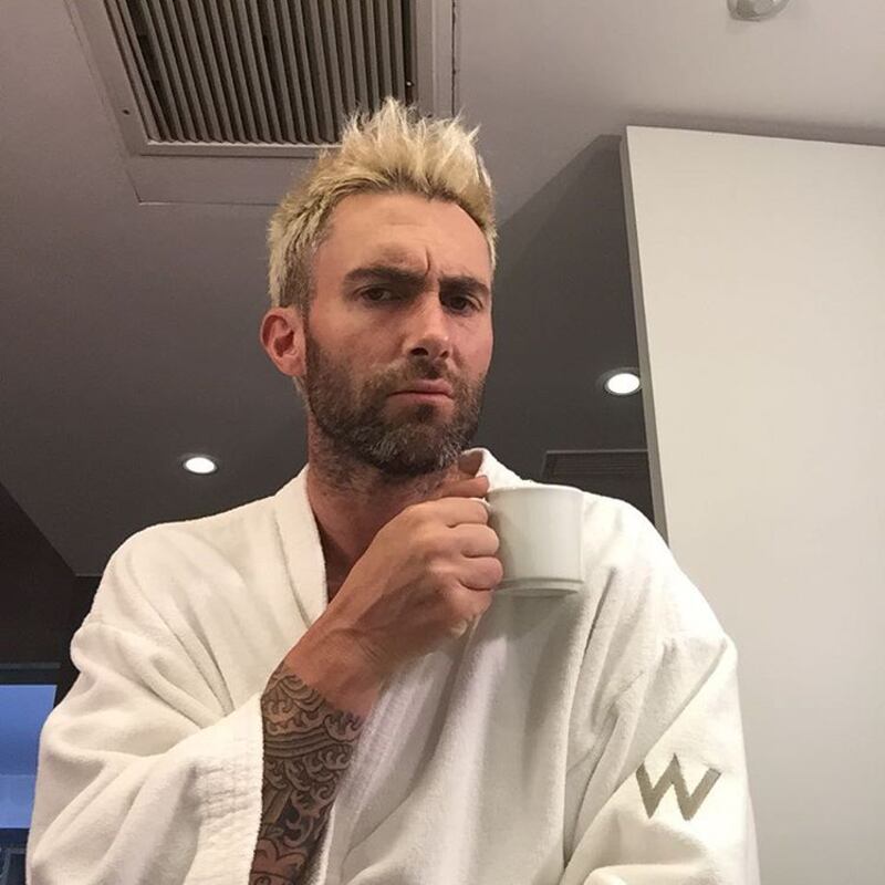 Behati Prinsloo e Adam Levine: la gravidanza social 8