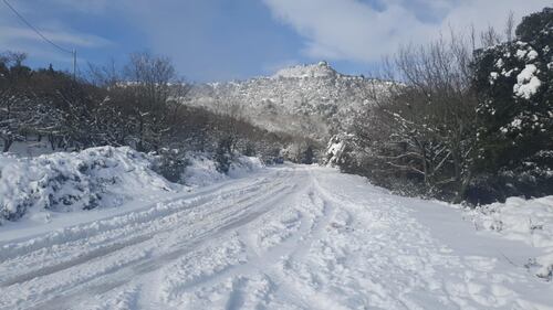 Freddo e neve, in Sardegna si stringe la morsa del gelo 9